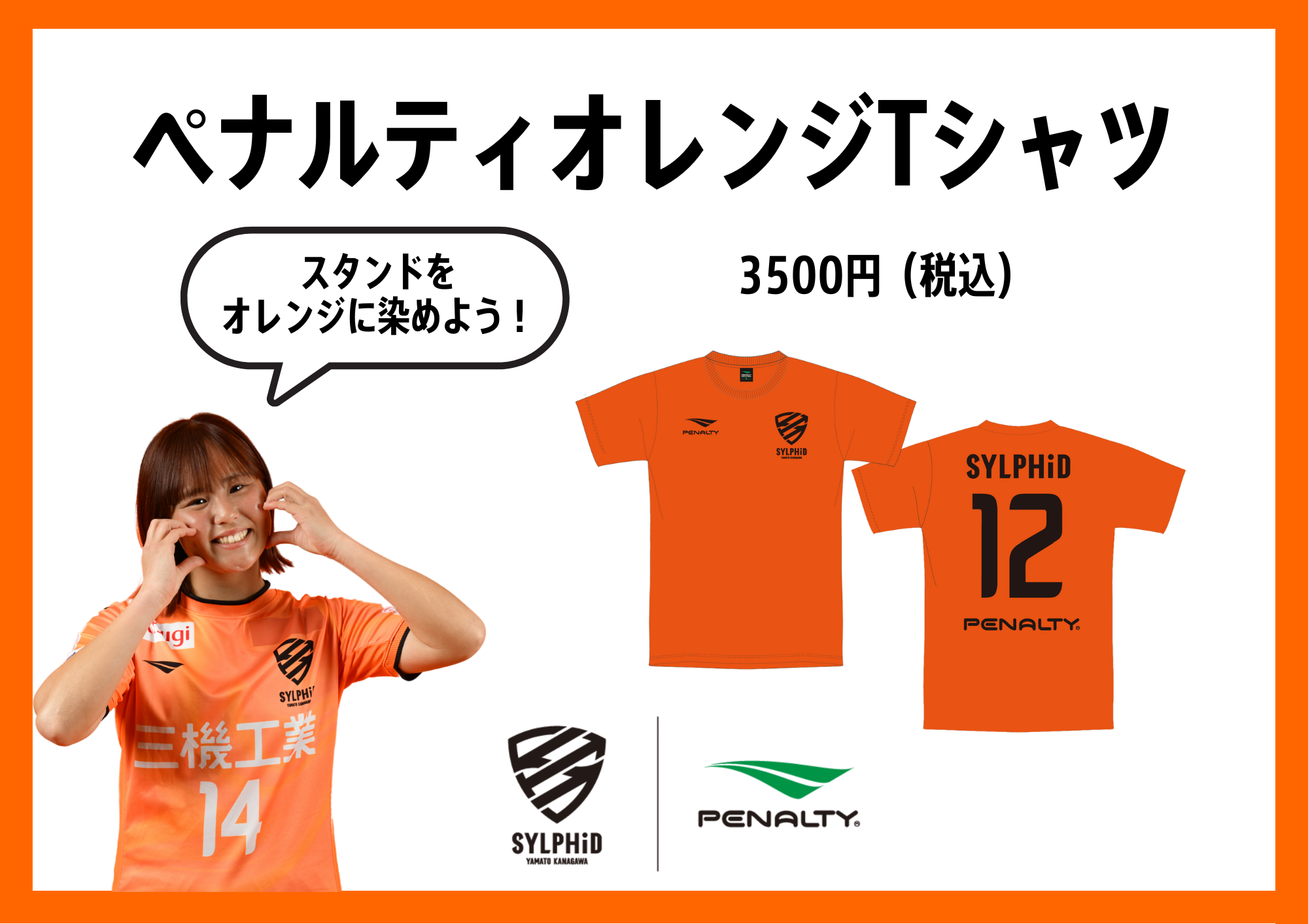 グッズ紹介・購入 – 大和シルフィード